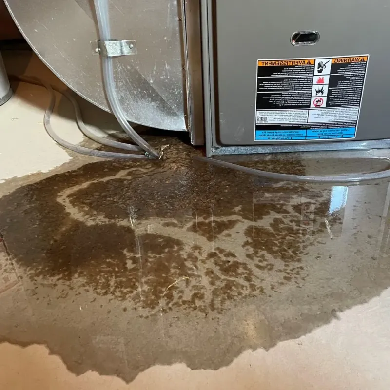 Pipe Burst and Leak Restoration in Yamhill County, OR