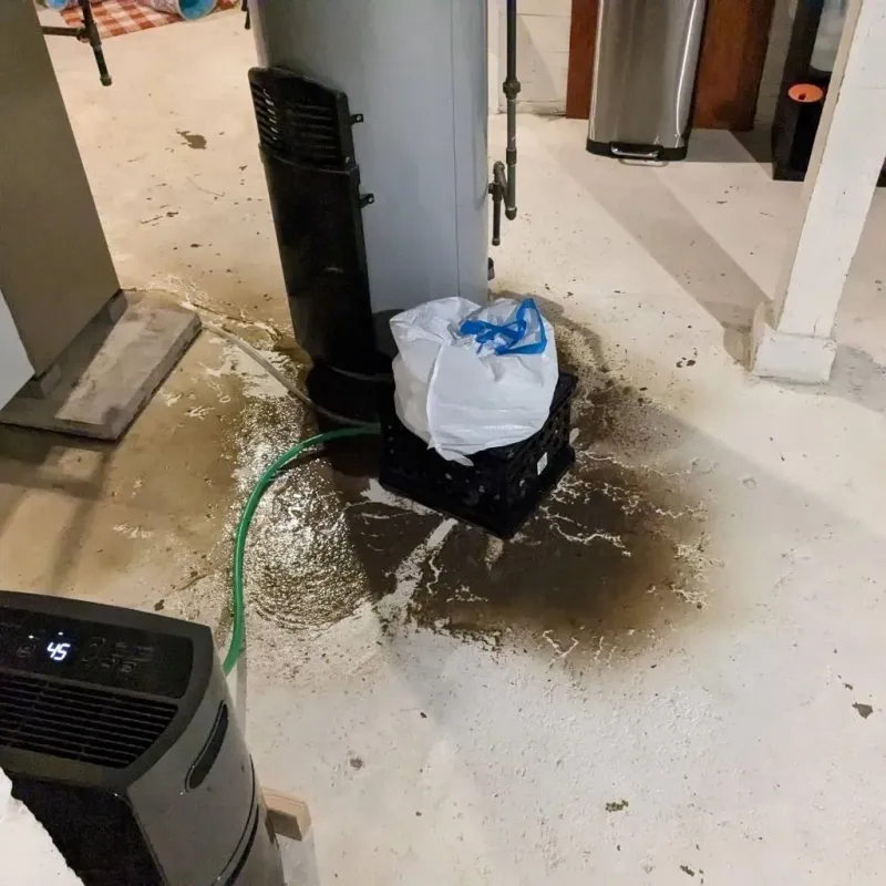 Sewage Backup Cleanup Service in Yamhill County, OR